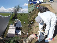 Зооноз өвчний оношлогооны технологийг сайжруулах шаардлага байна
