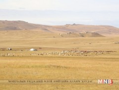 Зуншлага тааруу байсан учраас намартаа өвсний гарц сийрэг байна 