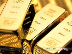 Алт тушаалт 8 хувиар нэмэгджээ