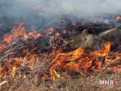 Таван автомашин өвс шатжээ