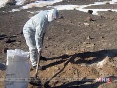 Архангай аймагт мал, амьтны халдварт галзуу өвчин гарлаа