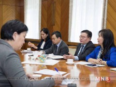 НҮБ-ын Ажлын хэсэг манай улсад ирнэ
