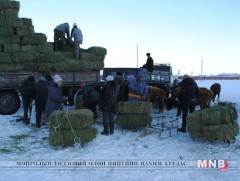Өвөлжилтийн бэлтгэл улсын хэмжээнд 82 хувьтай байна