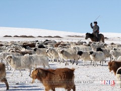 Малчин, хувиараа хөдөлмөр эрхлэгчдийг тогтмол орлоготой, тогтвортой ажил эрхлэгч болоход анхаарна