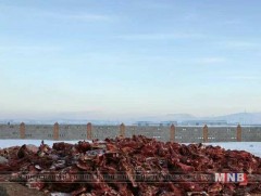 Хээрийн бойгоор малаа нядлуулахгүй байхыг зөвлөж байна