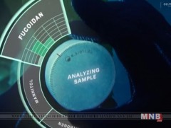 Бидний амьдрал ирээдүйд ийм болно