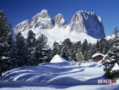 Өвлийн төгөл