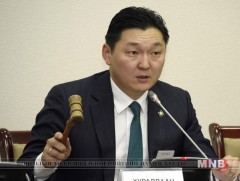 Төсвийн байнгын хороо Ерөнхийлөгчийн хоригийг хүлээж авсангүй