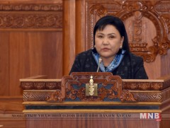 Газрыг улсын тусгай хэрэгцээнд авах тухай УИХ-ын тогтоол батлагдав