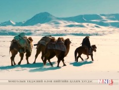 Эв эеийн цагаан сар 