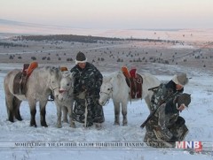Хил дамнан мал хулгайлсан этгээдүүдийг илрүүлэв
