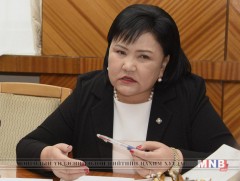 УИХ-ын гишүүн Д.Оюунхорол НҮБ-ын Хүн амын сангийн суурин төлөөлөгчийг хүлээн авч уулзав