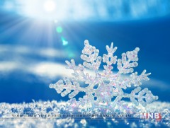 Шижир цасны хээ