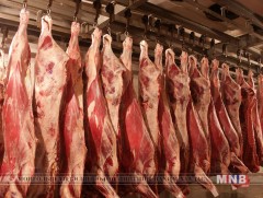 Манай улс экспортлож байгаа махны хэмжээг 7 дахин өсгөх боломжтой 