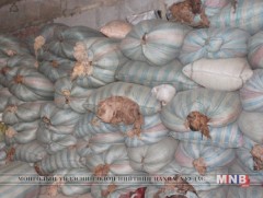 Ноолуур 90-105 мянган төгрөгийн ханштай байна