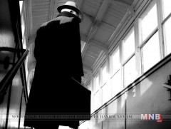 Нөлөөллийн туршуул