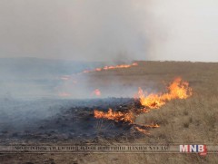 Он гарсаар улсын хэмжээнд 46 мянган га талбай шатжээ 
