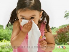 Ургамлын тоосны харшлаас сэргийлэх аргууд...