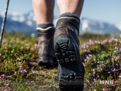 Аялал зугаалгаар явж байгаа хүмүүст анхаарал болгоомжтой байхыг сэрэмжлүүллээ