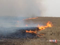 Он гарсаар улсын хэмжээнд ой хээрийн 50 гаруй түймэр гарчээ