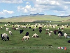 Малчид бүлэг байгуулж, бэлчээр сэлгэж ашиглах журам боловсруулжээ  
