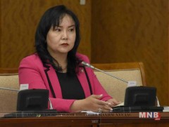 Дэд хорооны даргыг сонгож, УИХ-ын тогтоолын төслийг хэлэлцэв