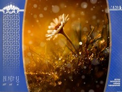 “Бороо” уянгын зураглал