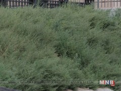 Шарилж тоосоо гөвөх идэвхтэй үед салхивчаа онгойлгохгүй байхыг зөвлөлөө  