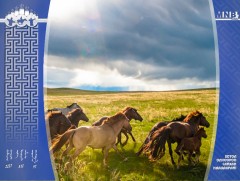 Намайг тосох цэцэгт тал минь