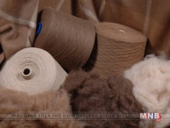 Эцсийн бүтээгдэхүүн хийж байгаа үйлдвэрүүдэд тушаасан ноосонд нь урамшуулал олгоно 