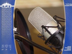 Алсын газрын зэрэглээ