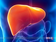 Элэгний вирус илрүүлэх түргэвчилсэн шинжилгээнд хамрагдаарай...