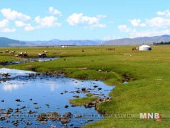 Богдын голын зун