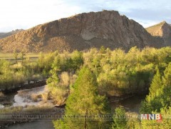 Богдын голын зун