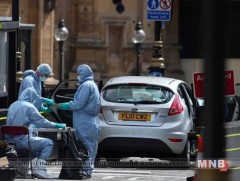 Британийн парламентийн ордон руу машинаар дайрчээ