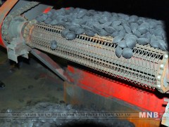 “Таван толгой түлш” компанийн сайжруулсан шахмал түлш худалдаанд гарч эхэллээ