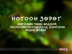 Ногоон зөрөг