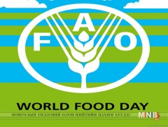 Өнөөдөр Дэлхийн хүнсний өдөр...