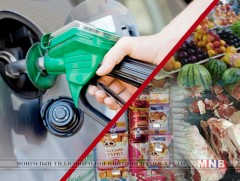 Өргөн хэрэглээний бараа бүтээгдэхүүний үнийг дэлхийн нефть экспортлогчид тодорхойлж байна