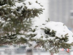 Өнөөдөр баруун аймгуудын нутгаар цас орж, цасан шуурга шуурна 