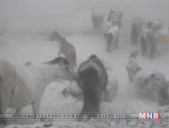 Өнөөдөр зүүн болон говийн аймгуудын нутгаар цасан болон шороон шуурга шуурна