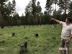 “Ойн генетикийн нөөц хамгаалал төсөл”-ийн үр дүнг танилцууллаа 