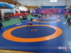 “Аваргын гараа” чөлөөт бөхийн тэмцээн болно