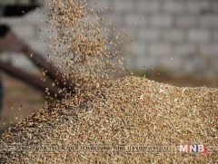 Ургац хурааж дууслаа 