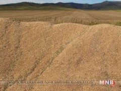 Тариалан сумынхан 18 мянган тонн улаанбуудай хураан авчээ