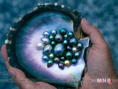 Японы  гайхамшгийн нууц нь 