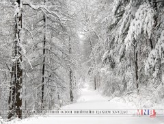 Өнөөдөр Булган, Сэлэнгэ, Төв, Өвөрхангай аймгийн хойд хэсгээр цас орно 