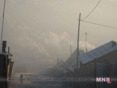 Нарийн ширхэглэгт тоосонцор хүүхдийн тархины эд, эсийг генийн түвшинд гэмтээдэг 