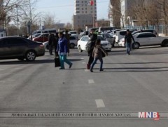 Зам тээврийн ослоос болж 55 хүүхэд амь насаа алджээ 