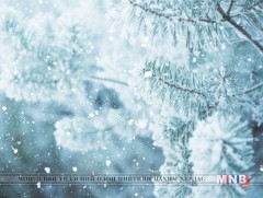 Өнөөдөр баруун аймгуудын нутгаар цас орж, цасан шуурга шуурна 